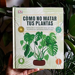 Guía: Cómo no matar tus plantas.