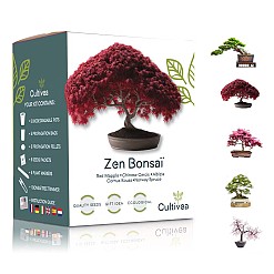 Kit completo para cultivar bonsáis