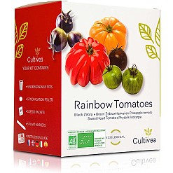 Kit para cultivar tomates de colores