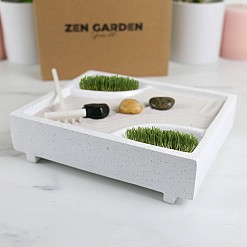 Kit de cultivo mini jardín zen