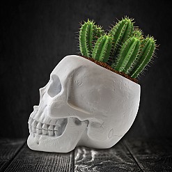 Maceta en forma de calavera para cultivar cactus