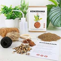Kit para hacer una Kokedama