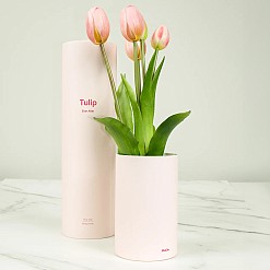 Tulipanes realistas con aroma