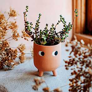Pulverizador para plantas en forma de gatito o cactus. Curiosite