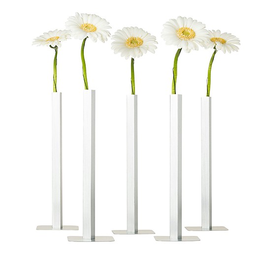 Son jarrones diseñados para una única flor