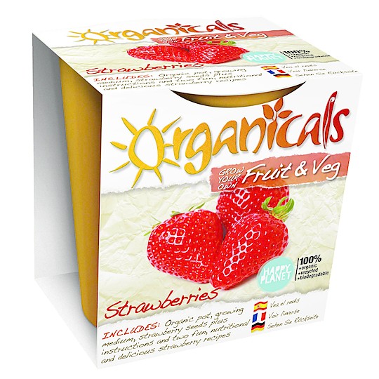 Strawberry Organic Kit