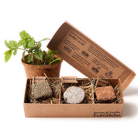 Cajas con tres bombas de semillas de aromáticas