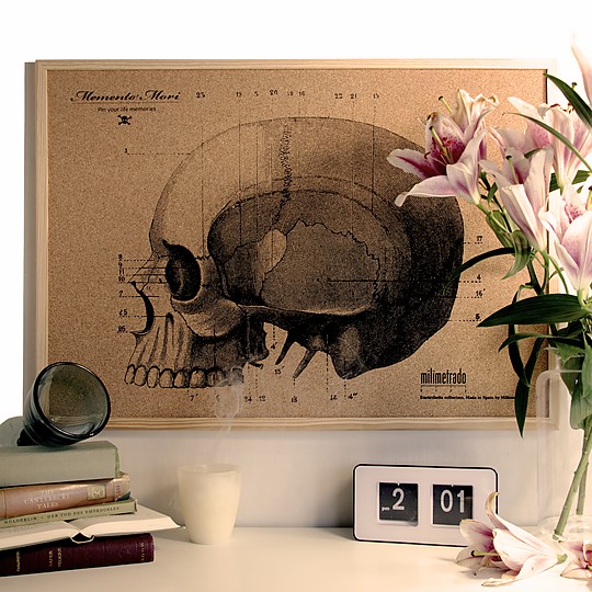Ilustrado con un modelo anatómico de un cráneo