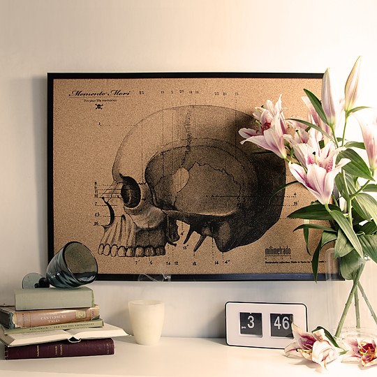 Ilustrado con un modelo anatómico de un cráneo