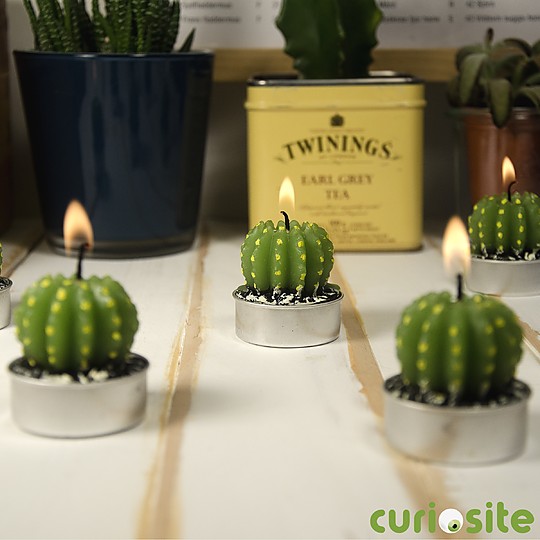 Una velas de té con forma de pequeños cactus