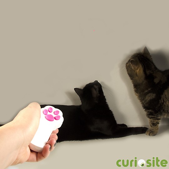 Un puntero láser de diseño gatuno