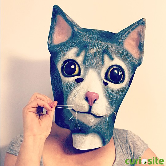 Con la máscara de gato serás al final lo que siempre quisiste
