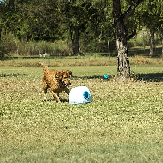 iFetchToo, el lanzador de pelotas para perros grandes