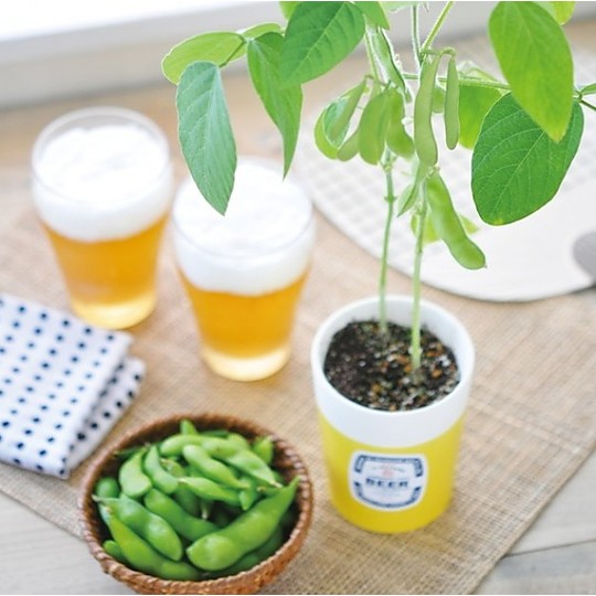 Haz crecer vainas de soja con este kit de autocultivo