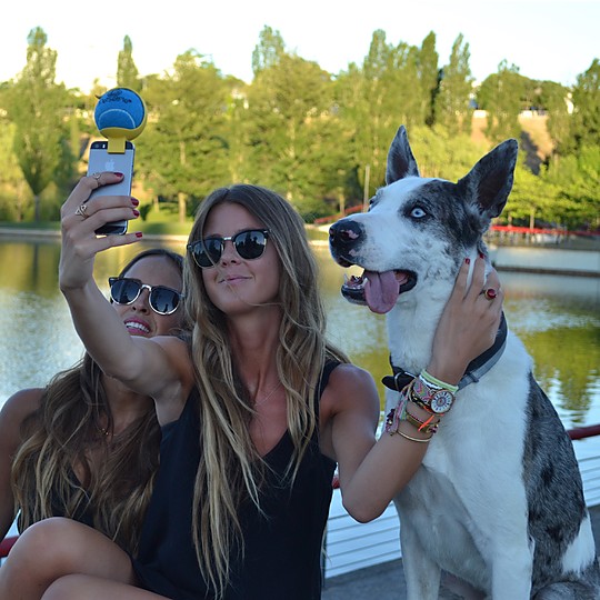 Consigue grandes selfies de tu mascota con PetSelfie