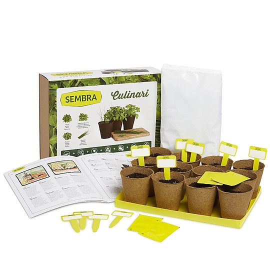 Un completo kit de autocultivo para plantar hierbas culinarias
