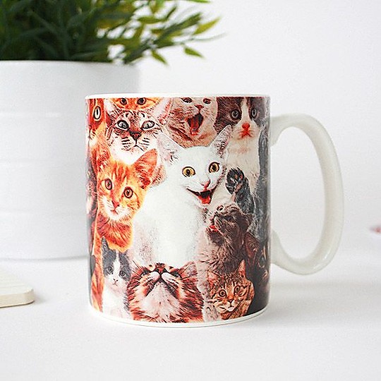 Una taza que representa a los amantes apasionados de los gatos