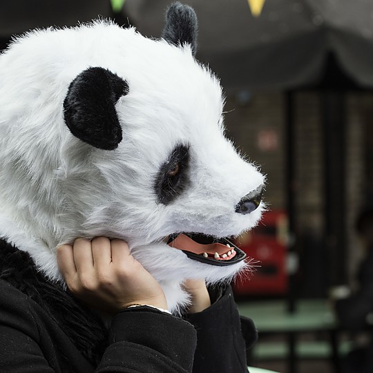 Una máscara de oso panda hiperrealista