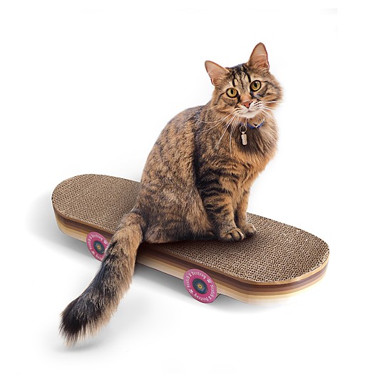 Rascador para gatos de cartón en forma de skate