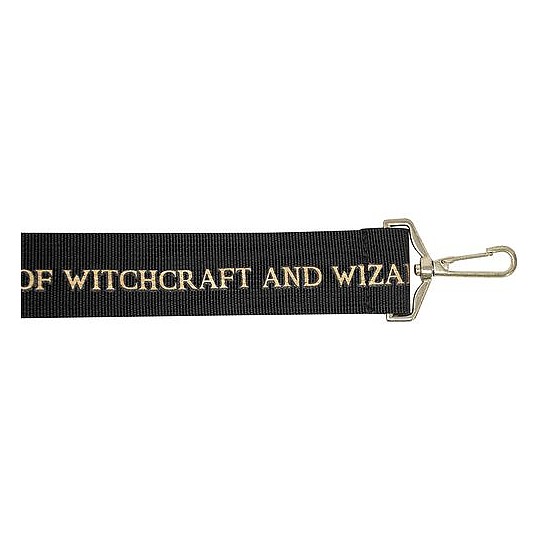Asas con la inscripción “School of witchcraft and wizardry”