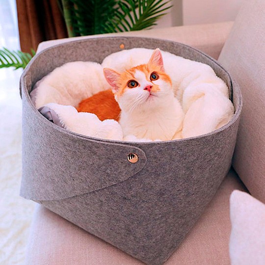 Una cama para tu gato muy original