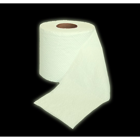 You’ll always find the toilet paper roll, even when there’s no light.