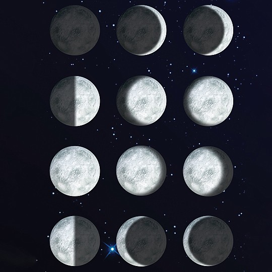 Descubre las 12 fases lunares