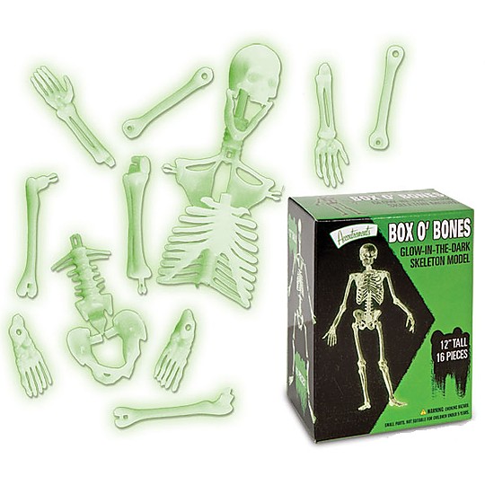 Une las piezas y monta un esqueleto.