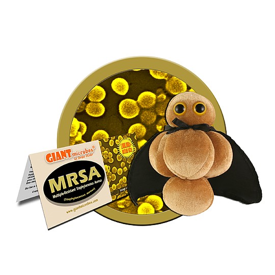 Peluche de microbio 'MRSA'