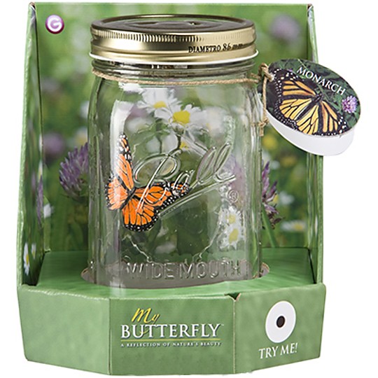 Packaging de "My Butterfly"