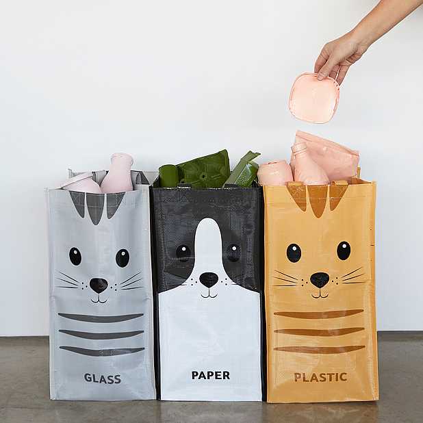 Desafío vendedor Por adelantado Set de tres bolsas de reciclaje con estampado de gatos. Curiosite