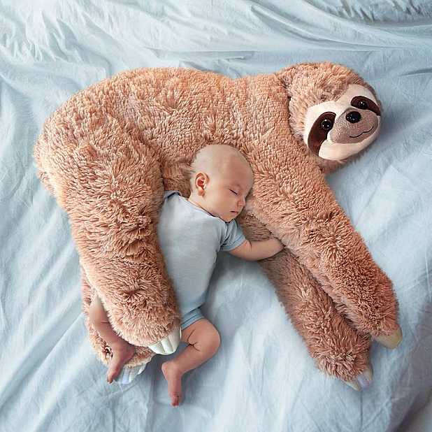 Almohada para bebés en forma de perezoso. Curiosite