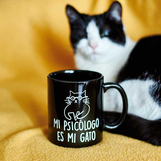 Regalo de la taza del gato del gatito -  España