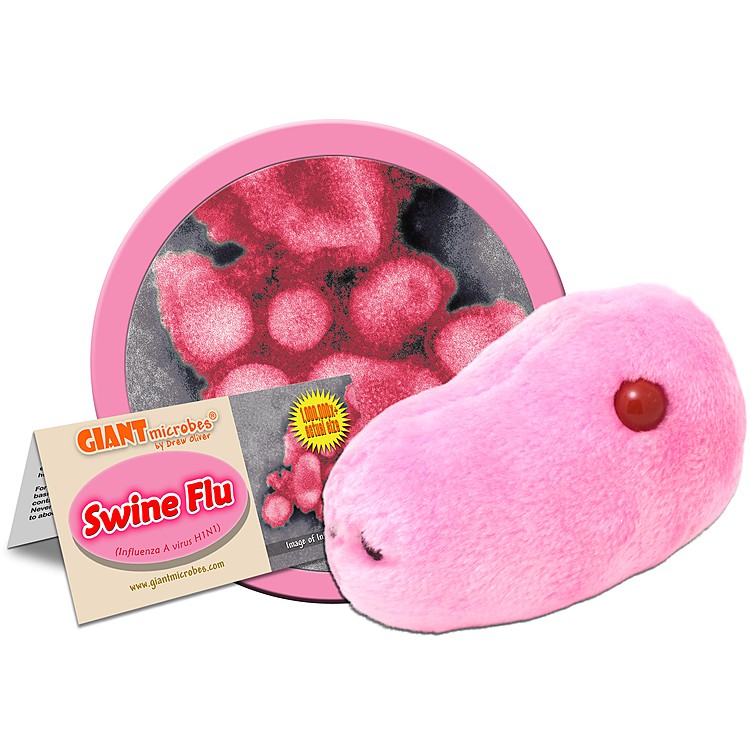 GIANTMICROBES RAFFREDDORE Common Cold Rhinovirus | Agile Italia