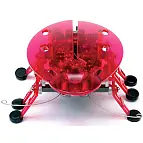 El Hexbug rosa se llama Echo