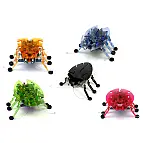 La familia completa de Hexbugs