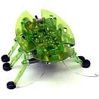 El verde se llama Bravo