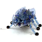 El Hexbug azul es Charlie