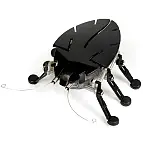 Hexbug negro, se llama Delta