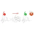 Así se deben cambiar las pilas