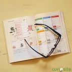 El libro de cuentas japonés