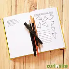 Su autor es el diseñador gráfico Adam J. Kurtz