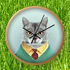 El gato es un tipo muy formal