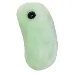 Peluche de la gripe
