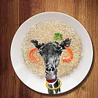 Miden 22,9 cm de diámetro