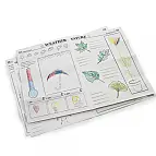 Con dibujos para colorear y columnas para escribir