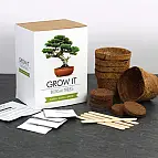 El kit para plantar bonsáis en casa