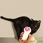 Es muy cuqui y muy felino