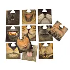 40 imágenes de animales diferentes