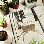 Belleza, dolor y delicadeza